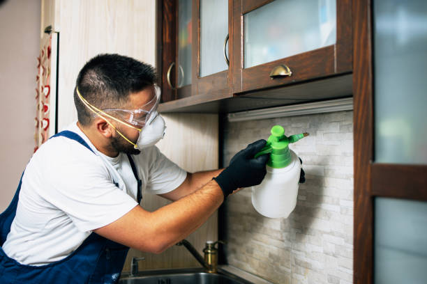 Best Emergency Pest Control  in Valdosta, GA