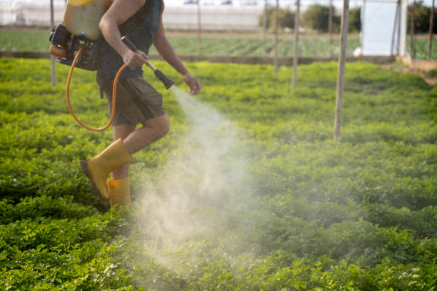 Best Pest Control Treatment  in Valdosta, GA