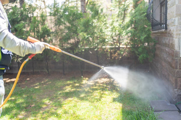 Bird Control in Valdosta, GA