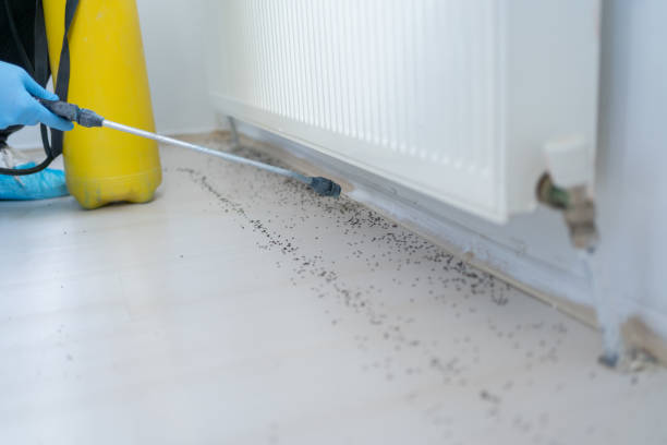 Best Bed Bug Extermination  in Valdosta, GA
