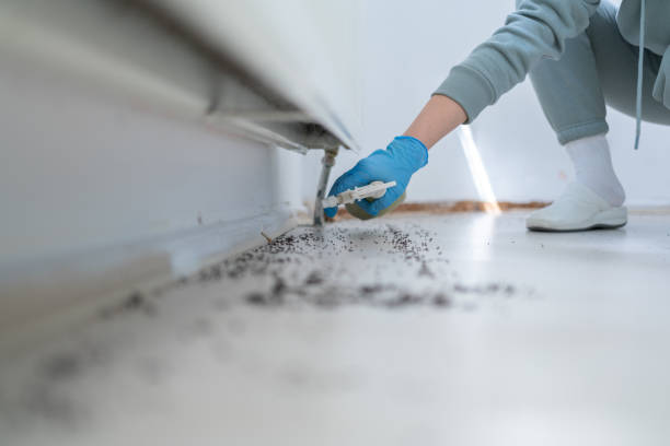 Trusted Valdosta, GA Pest Control Experts